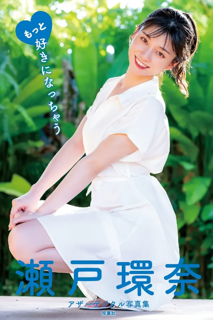 cover 16