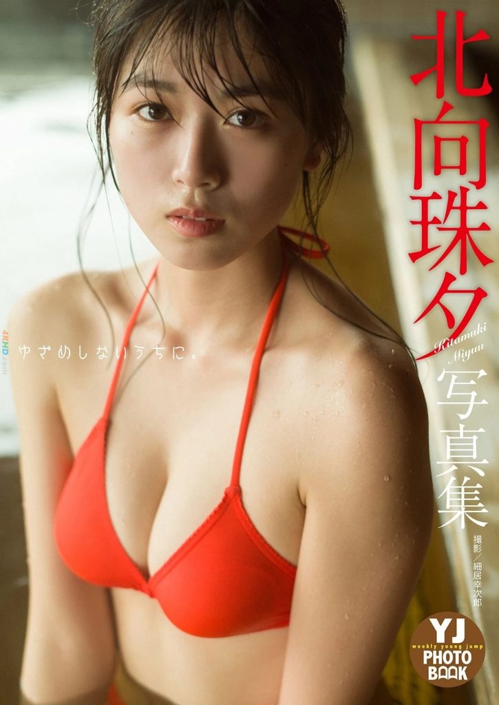 cover 1779397707